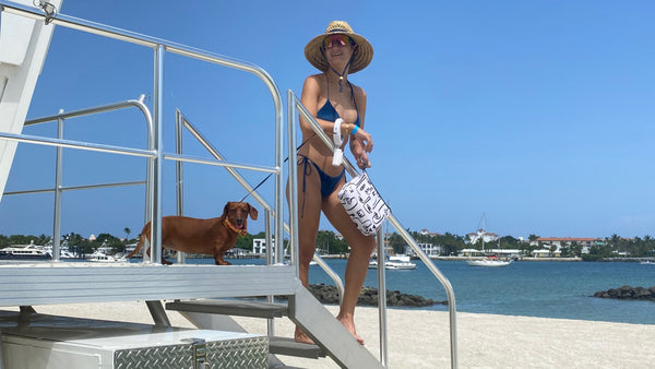 Best Pet-Friendly Beaches on South Florida's East Coast