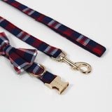 Preppy Dog Leash with Gold Buckle – Durable & Stylish
