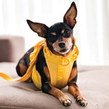 Harness, Collar and Leash Set Yellow