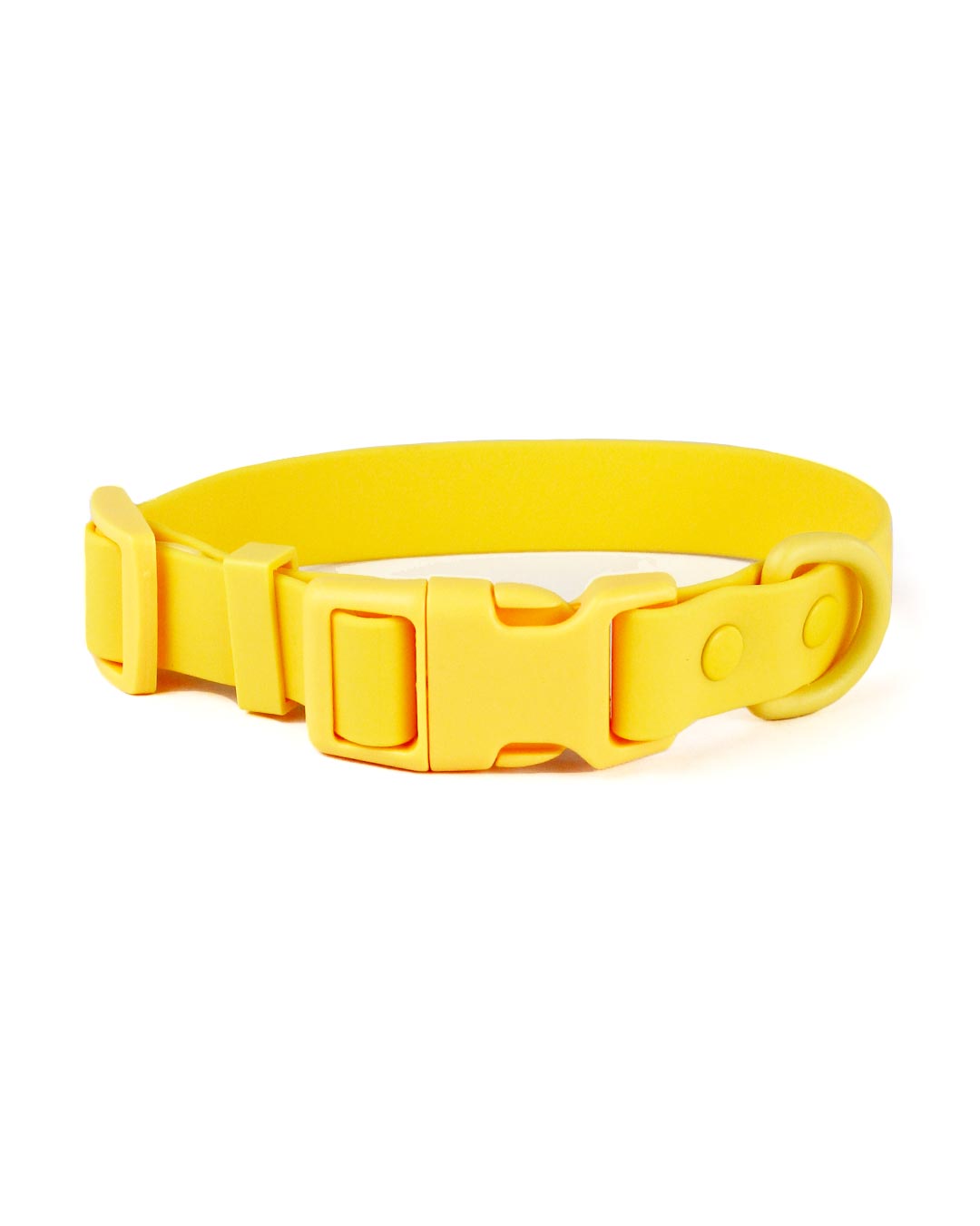 Bolt 2024 dog collar