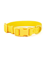 Yellow Bolt Waterproof Dog Collar | Urbana Pet Boutique