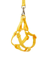 Yellow Bolt Waterproof Step In Dog Harness | Urbana Pet Boutique