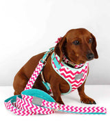 Cotton Candy_Dog Harness_Urbana Pet Boutique