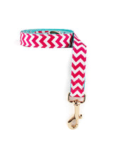 Cotton Candy Dog Leash - Urbana Pet Boutique
