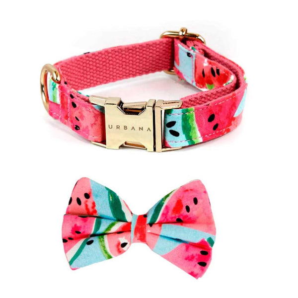 Collar and Bow Tie Set Watermelon
