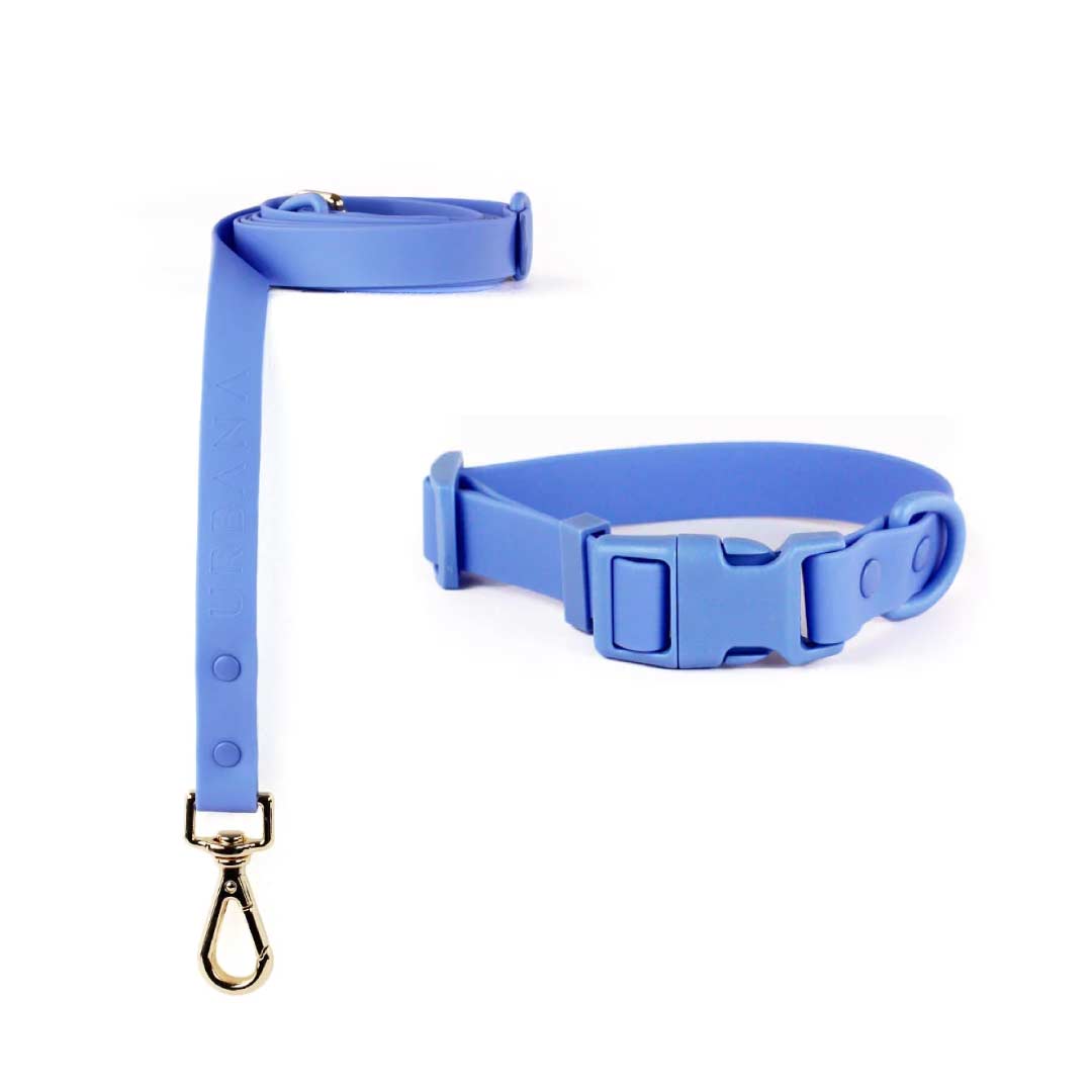 Collar and leash cheap pet shop