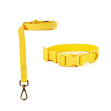 Collar and Leash Set Yellow