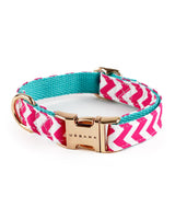 Cotton Candy Dog Collar - Urbana