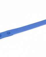 Cobalt Waterproof Dog Leash | Urbana Pet Boutique