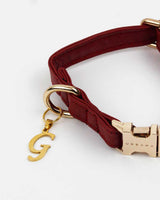 G Gold Initial Dog Charm - Urbana Pet Boutique