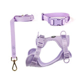 Harness, Collar and Leash Set Lavender