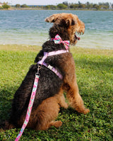 Pink Lemonade Dog Harness | Urbana Pet Boutique