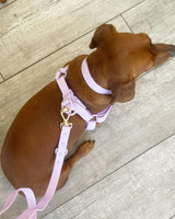 Lavender Lilac Purple Waterproof Step-In Dog Harness | Urbana Pet Boutique