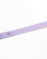 Purple, Lilac Lavender Waterproof Dog Leash | Urbana Pet Boutique