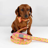 Papaya Madness Dog Leash | Urbana Pet Boutique