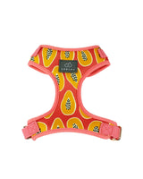 Papaya Madness Dog Harness | Urbana Pet Boutique