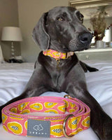Papaya Madness Dog Leash | Urbana Pet Boutique