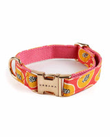 Papaya Madness Dog Collar | Urbana Pet Boutique