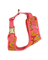 Papaya Madness Dog Harness
