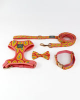 Papaya Madness Dog Collar | Urbana Pet Boutique