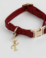 T Gold Initial Dog Charm | Urbana Pet Boutique