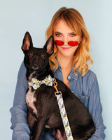 Tropical Jungle Dog Collar | Urbana Pet Boutique