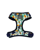 Tropical Jungle Dog Harness