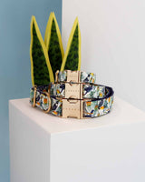 Tropical Jungle Dog Collar | Urbana Pet Boutique