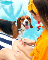 Tropical Jungle Dog Collar | Urbana Pet Boutique