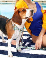 Tropical Jungle Dog Leash | Urbana Pet Boutique