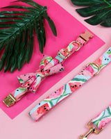 Watermelon Sugar Dog Collar | Urbana Pet Boutique