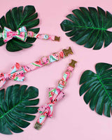Watermelon Sugar Dog Collar | Urbana Pet Boutique