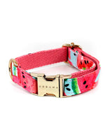 Watermelon Sugar Dog Collar | Urbana Pet Boutique