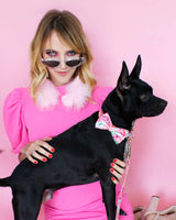Watermelon Sugar Dog Collar | Urbana Pet Boutique