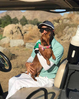 Watermelon Sugar Dog Collar | Urbana Pet Boutique