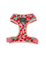 Watermelon Sugar Dog Harness | Urbana Pet Boutique