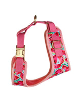 Watermelon Sugar Dog Harness | Urbana Pet Boutique