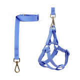 Waterproof Harness and Leash Set Cobalt