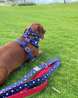 American Dream Dog Bow Tie | Urbana Pet Boutique