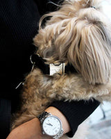 Black Vegan Leather Dog Collar | Urbana Pet Boutique