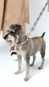 Buckingham_burberry_dog collar_ Urbana pet boutique