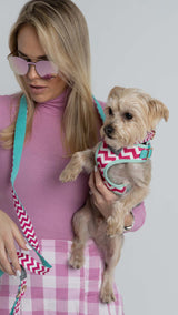 Cotton Candy Dog Leash - Urbana Pet Boutique