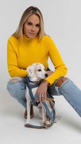 Denim_Dog Harness_Urbana Pet Boutique