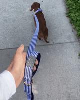Riviera Beach Dog Leash - Urbana Pet Boutique