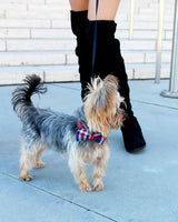 Very Preppy Dog Bow Tie | Urbana Pet Boutique