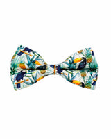 Tropical Jungle Dog Bow Tie | Urbana Pet Boutique