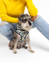 Tropical Jungle_Dog Harness_Urbana Pet Boutique