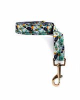 Tropical Jungle Dog Leash | Urbana Pet Boutique