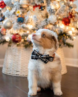 Tuxedo Dog Bow Tie | Urbana Pet Boutique