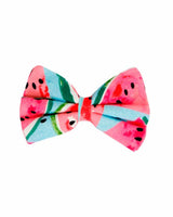 Watermelon Sugar Dog Collar | Urbana Pet Boutique